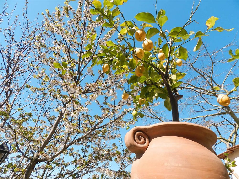 Bacio Del Sole B&B Positano Dış mekan fotoğraf